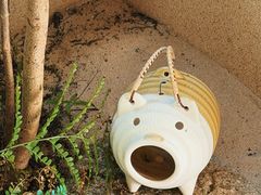 -真打拉面·日式拉面新流派(体育西横街店)