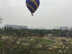 -秀丽东方