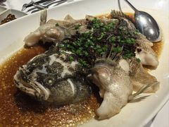 -南麓·浙里(外滩店)