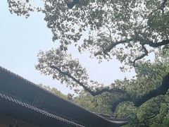 -普陀山风景名胜区-法雨禅寺