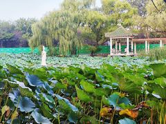 -北陵公园