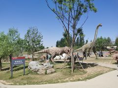 -西部长青自然儿童乐园