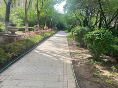 -金地·铂悦