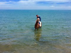 -青海湖国家重点风景名胜区
