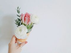 -双季花艺园艺市场(浦东店)