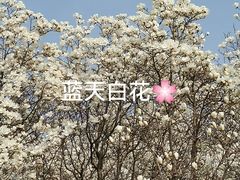 -睦南公园