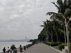 -深圳湾公园(南山区)