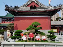 -天津大悲禅院