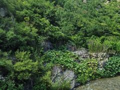 -灵溪风景区