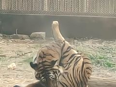 -南昌动物园