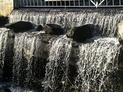 -五营红松林海景区