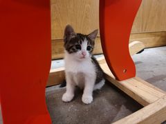 -新月集庭院咖啡馆(老邮局店)