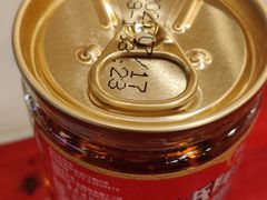 -朱氏胖子烂火锅(洪崖洞店)