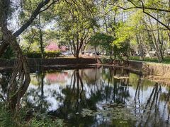-东湖落雁景区