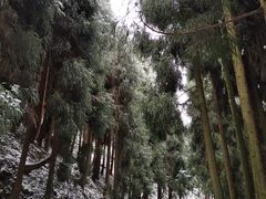 -太阳湾风景区