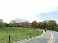-羊山湖公园