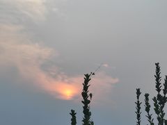 -北京世界公园