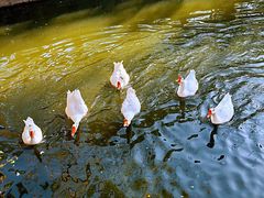 -苏州碑刻博物馆