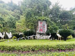 -广州白江湖森林公园