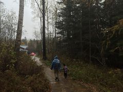 -五营红松林海景区