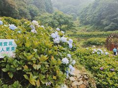 -鼓岭旅游度假区