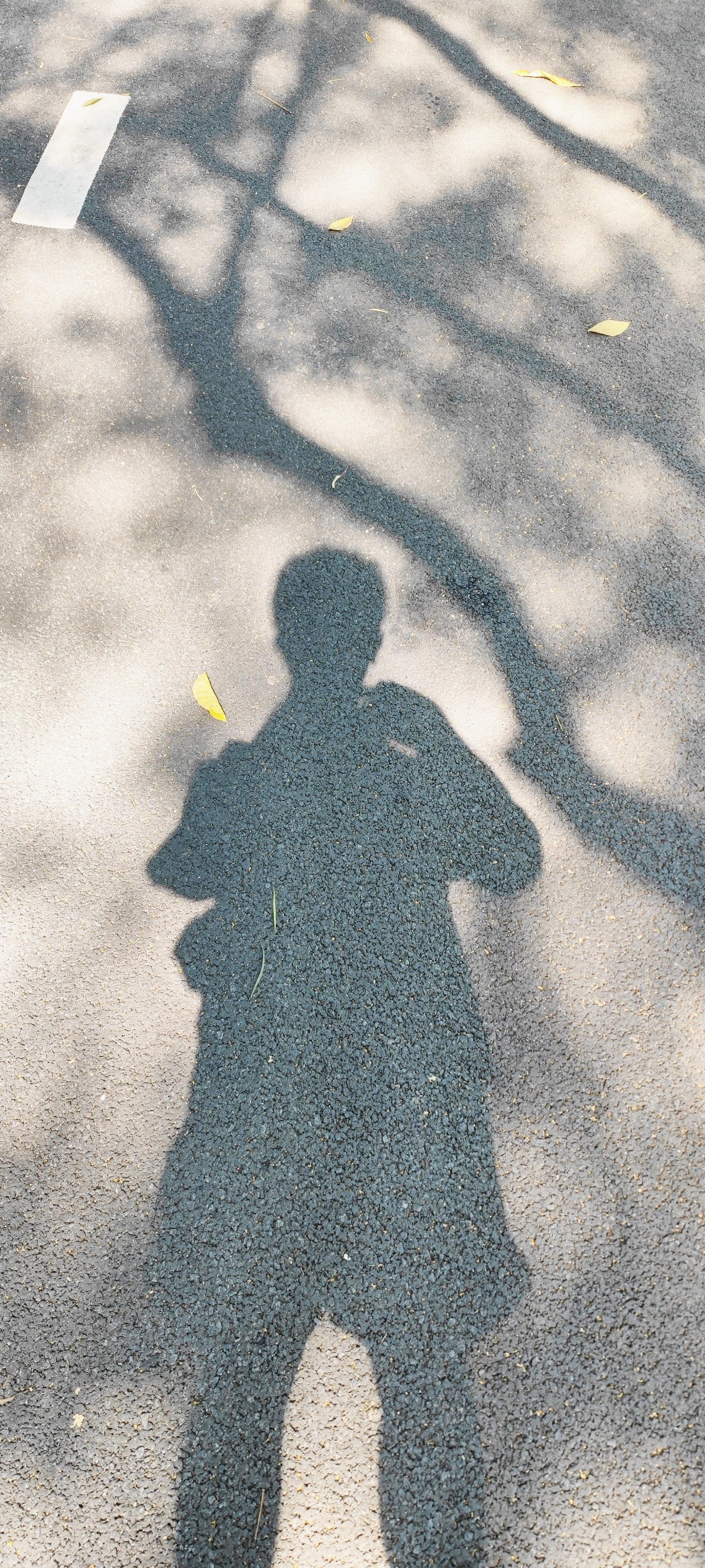 给影子拍个照📷