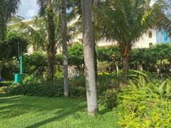 -三亚亚龙湾天域度假酒店