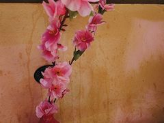 -今朝桃花醉川菜(县西巷店)