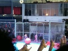 -西安秦岭野生动物园