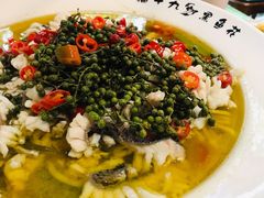 -三猫黑鱼花(南大店)