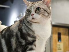 -咖法森林·咖啡  酒吧(天河店)