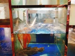 -童福兴·南京菜(老门东店)