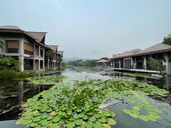 -广州都喜泰丽温泉度假酒店