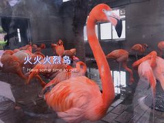 -太原动物园