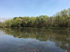 景点-溱湖国家湿地公园