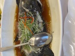 -骏莱海鲜鱼港(五角场店)