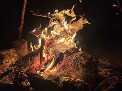 -盘龙城国家考古遗址公园