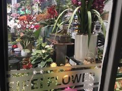 -FEI FEI FLOWER鲜花店·气球派对·宝宝宴布置(虹口德必运动Loft店)
