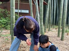 -同里国家湿地公园