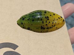 -巧克玩家·城市伴手礼(in88银泰店)