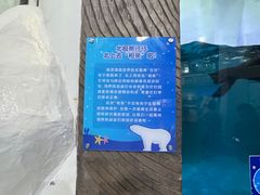 -南京海底世界