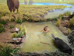 -陕西自然博物馆