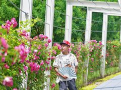 -大望京公园