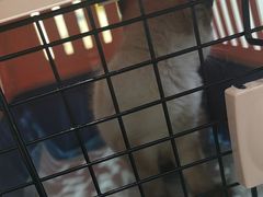 -拜鲁耶动物诊疗中心·宠家动物医院