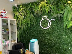 -1013 PET SHOP精品宠物商店(丁香店)