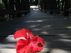 -环滩岛