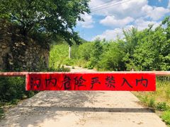 -阳台山自然风景区