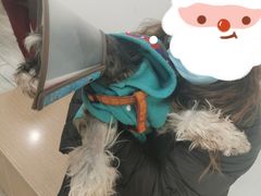 -艾贝尔宠物诊疗