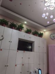 -香薇妮丝·定制减肥·身材管理
