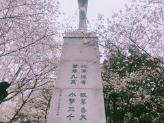 -武汉大学-樱园
